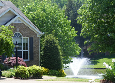 Hickory Hills - Mt. Juilet, TN